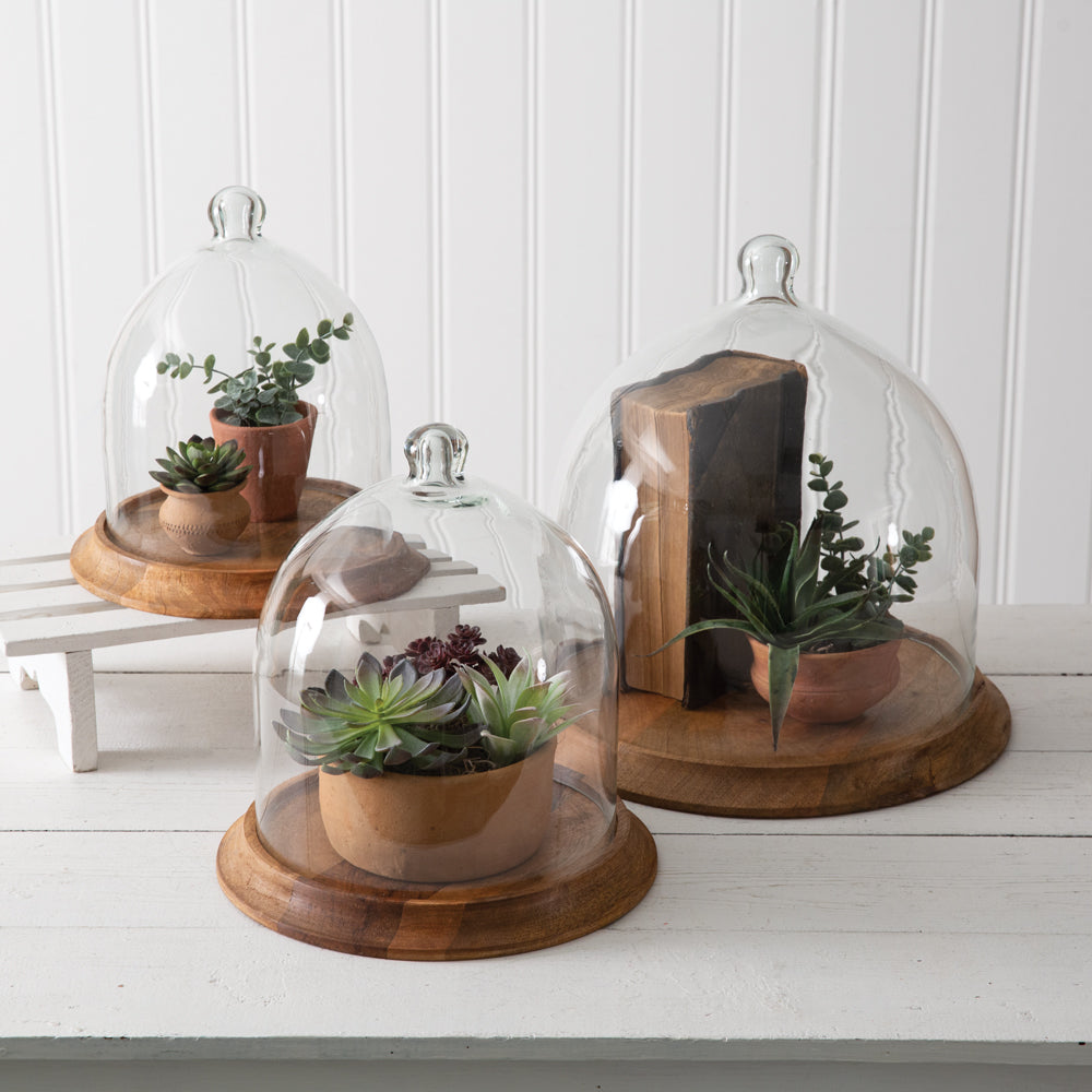 Glass and Wood Cloche | Farmhouse Table Decor | Rustic Tray | Rustic Round Tray | Wood and Glass Table Centerpiece | Vintage Tabletop Decor