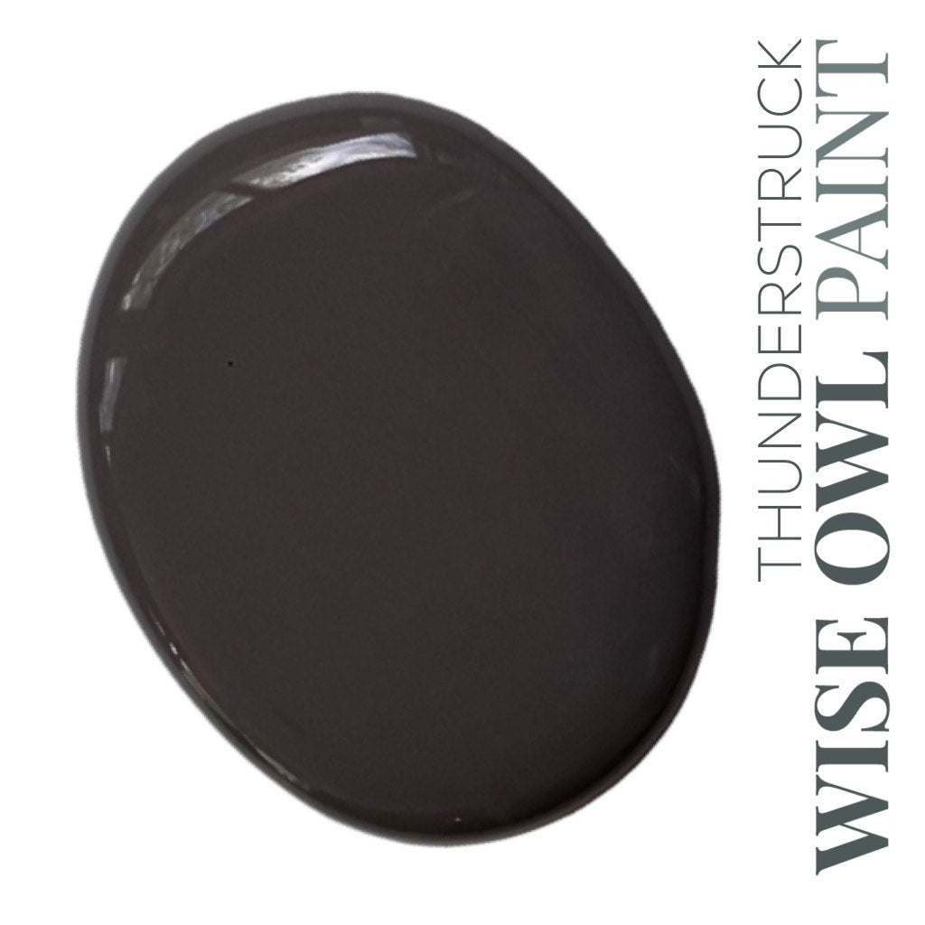 NEW! Thunderstruck Pint (16 oz) | Desert Sunset Collection Pint | Chalk Synthesis Paint | Wise Owl Paint | Furniture Paint | DIY Painting