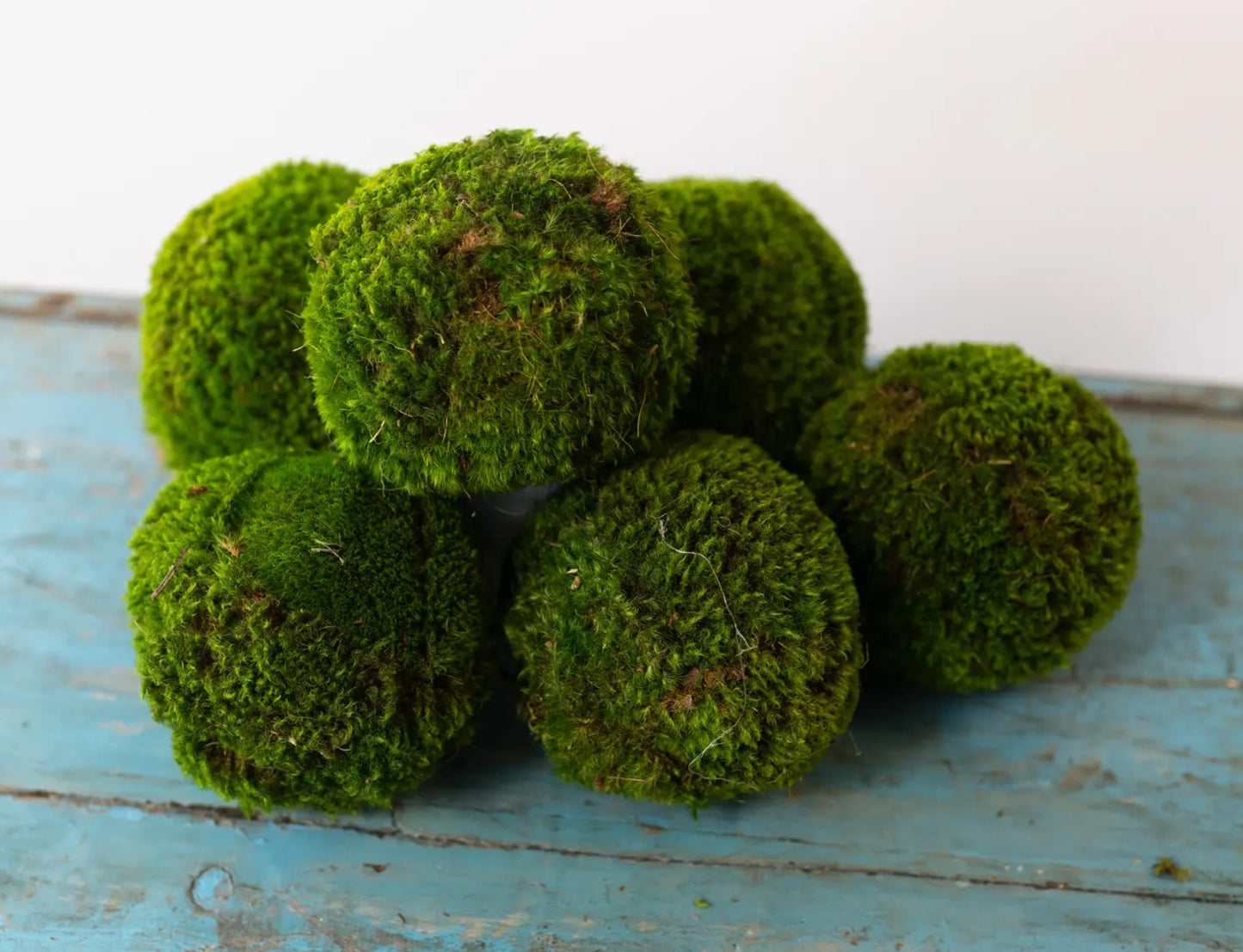 Large Preserved Moss Balls | Real Preserved Moss | Decorative Moss Balls | Maintenance Free Moss Decor | Handmade Moss Balls