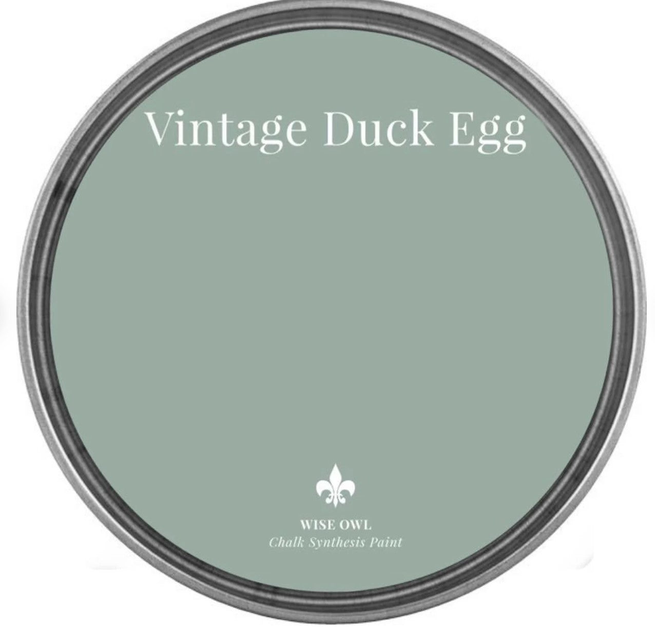 Vintage Duck Egg Pint (16 oz) | Chalk Synthesis Paint | Wise Owl Paint | Furniture Paint | DIY Painting