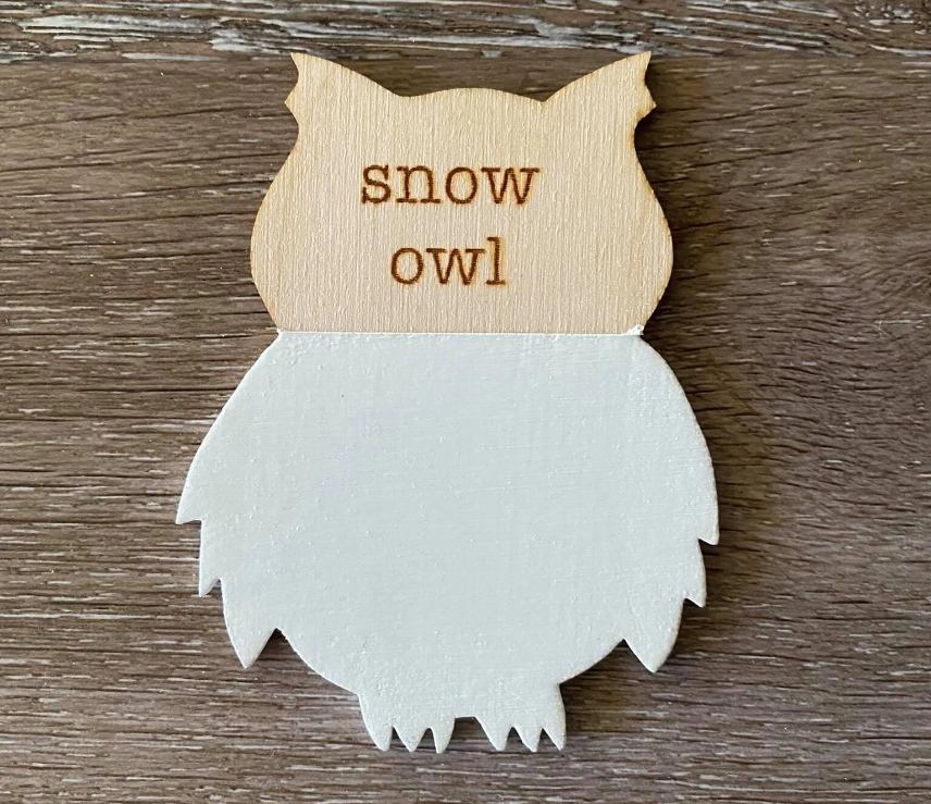Snow Owl Pint (16 oz) | Chalk Synthesis Paint | Wise Owl Paint