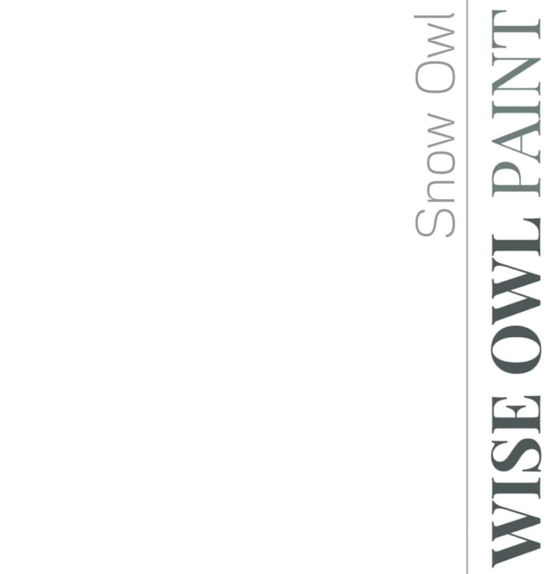 Snow Owl Pint (16 oz) | Chalk Synthesis Paint | Wise Owl Paint