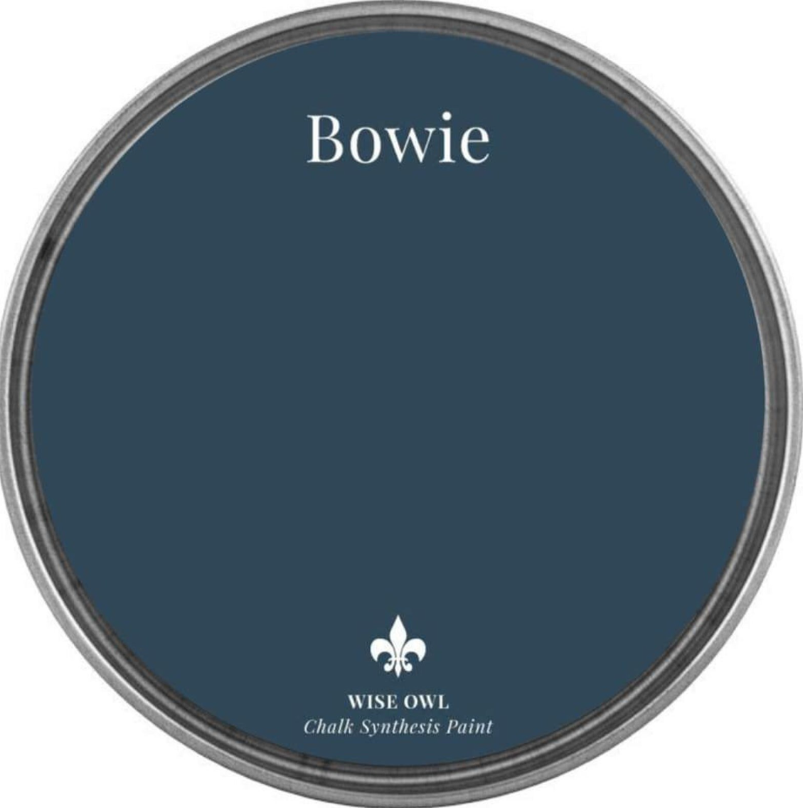 Bowie Pint (16 oz) | Chalk Synthesis Paint | Wise Owl Paint