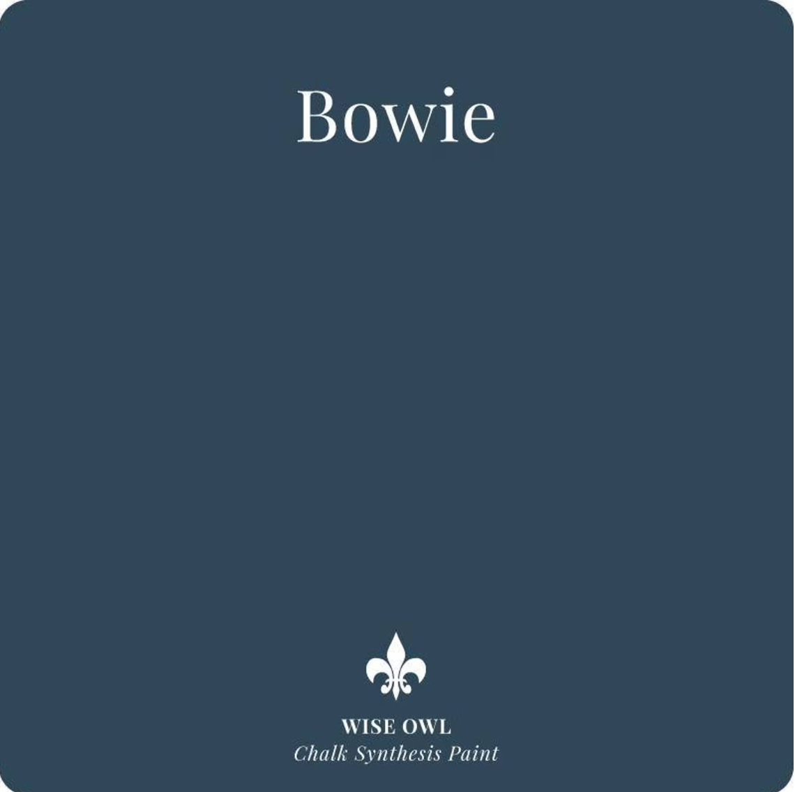 Bowie Pint (16 oz) | Chalk Synthesis Paint | Wise Owl Paint