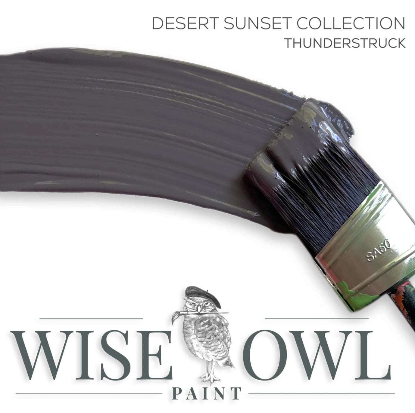 NEW! Thunderstruck Pint (16 oz) | Desert Sunset Collection Pint | Chalk Synthesis Paint | Wise Owl Paint | Furniture Paint | DIY Painting