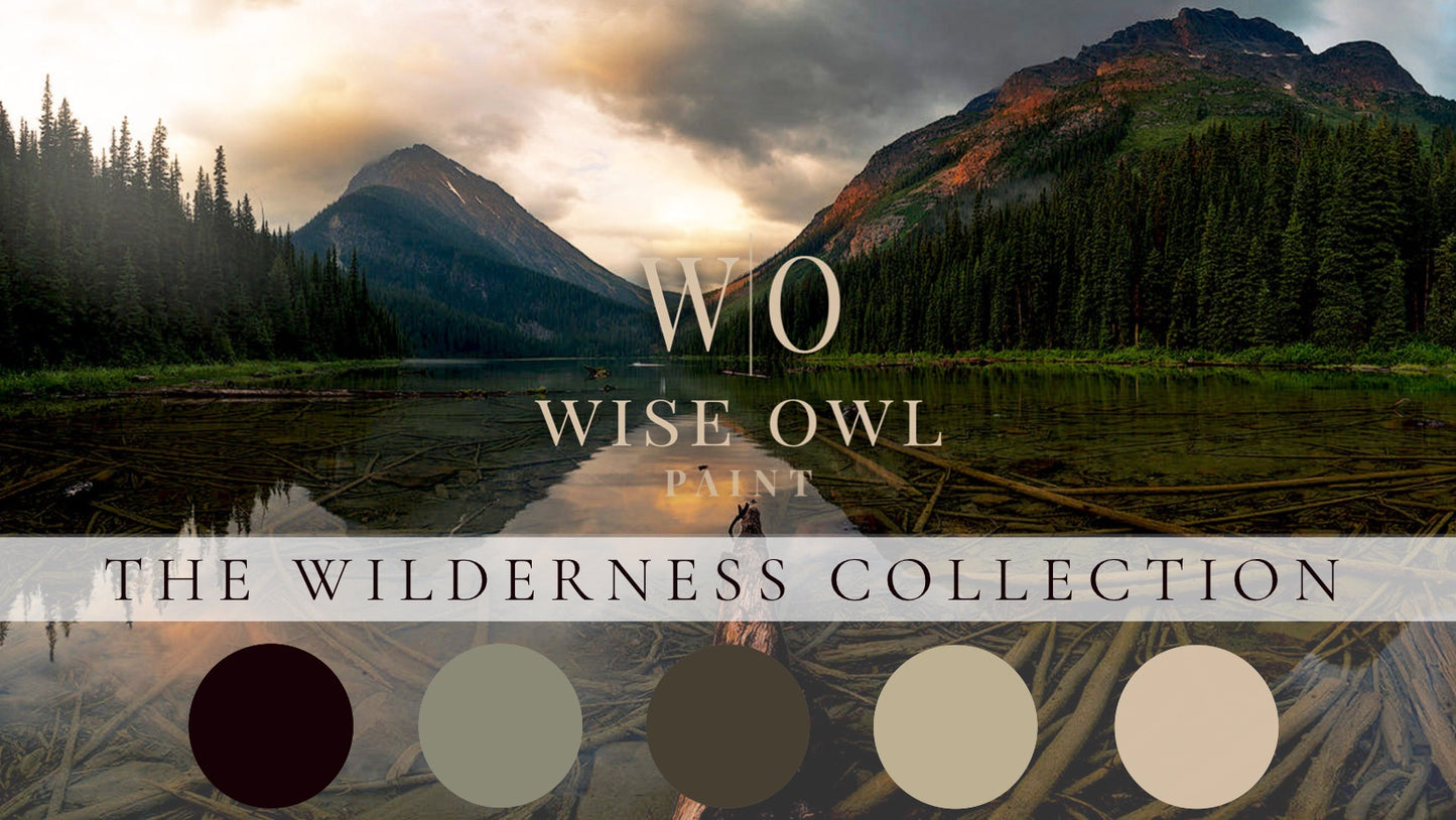 NEW! Weathered Bronze Quart (32 oz) Wise Owl One Hour Enamel | Wilderness Collection OHE | Wise Owl Paint | Cabinet Paint | Enamel Paint