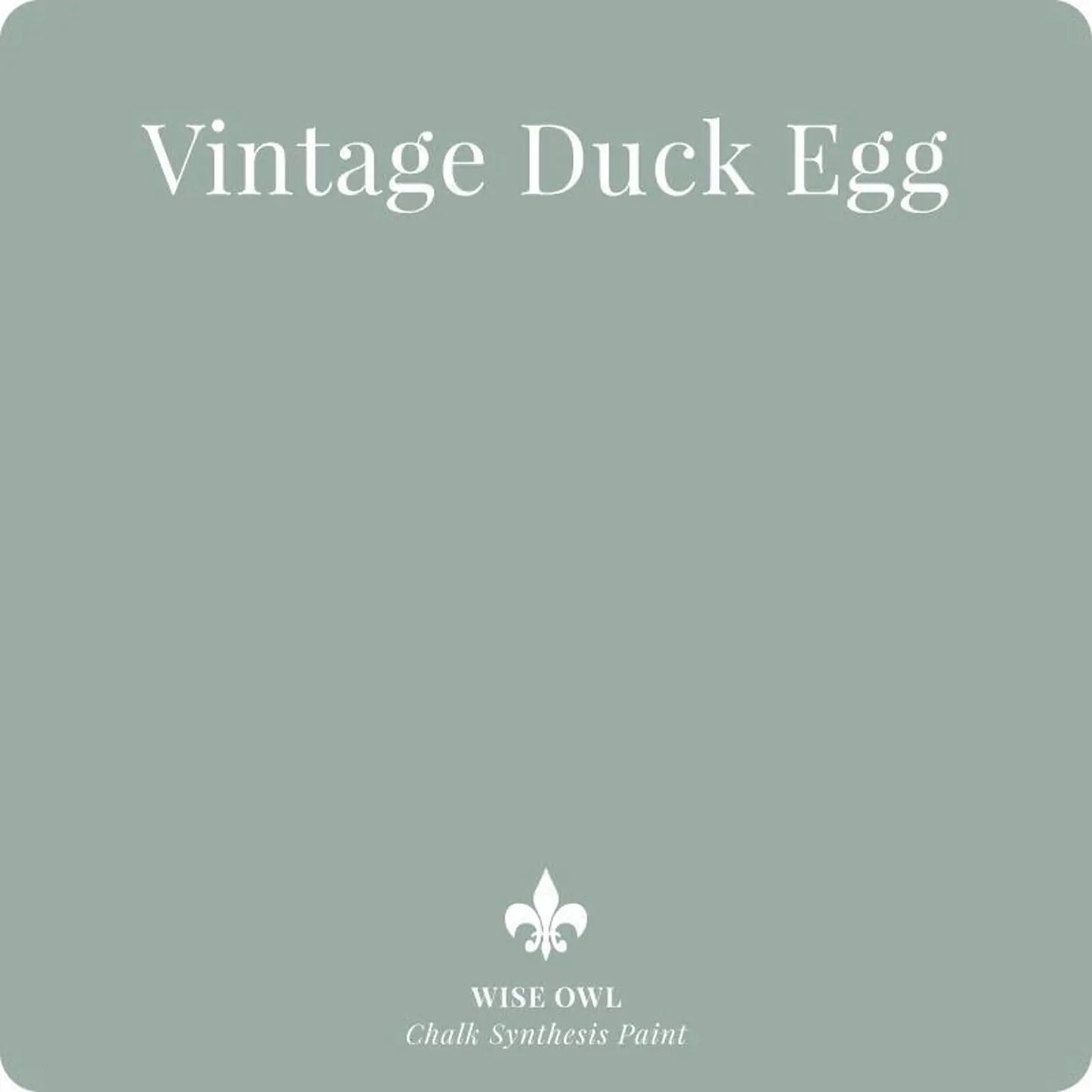 Vintage Duck Egg Pint (16 oz) | Chalk Synthesis Paint | Wise Owl Paint | Furniture Paint | DIY Painting