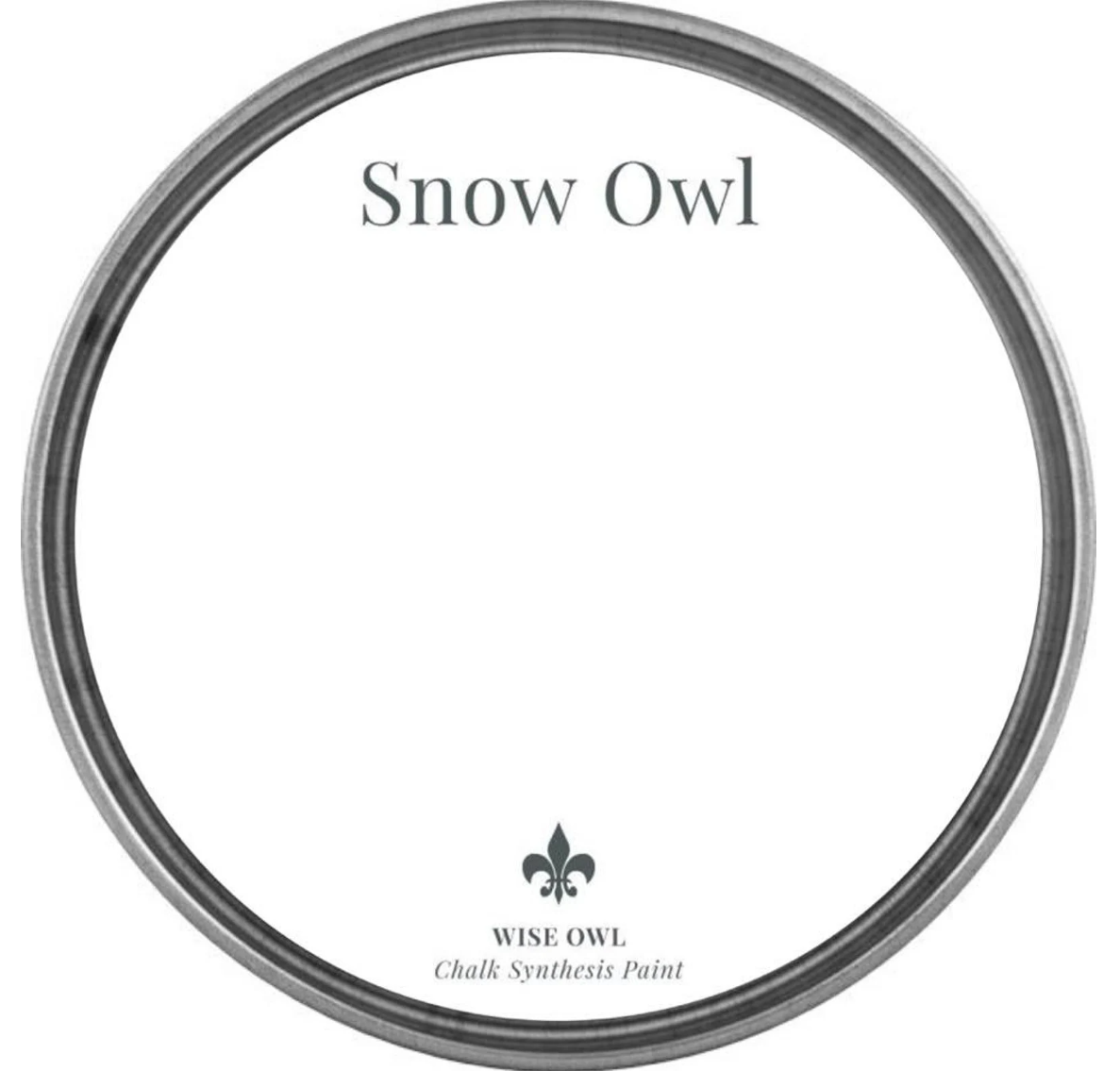 Snow Owl Pint (16 oz) | Chalk Synthesis Paint | Wise Owl Paint